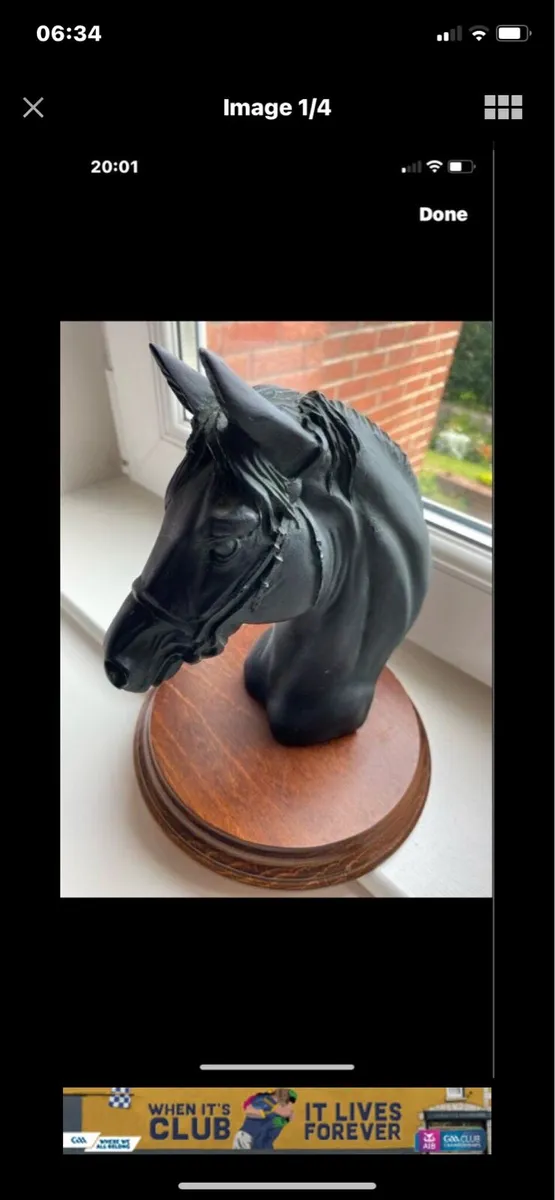 Vintage Horse Head Display - Image 1