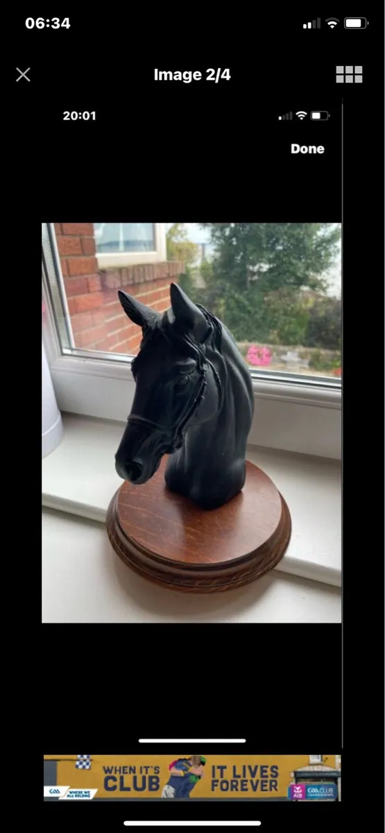 Vintage Horse Head Display - Image 2