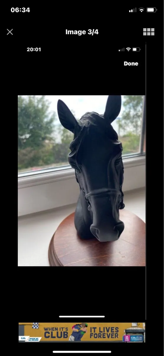 Vintage Horse Head Display - Image 3