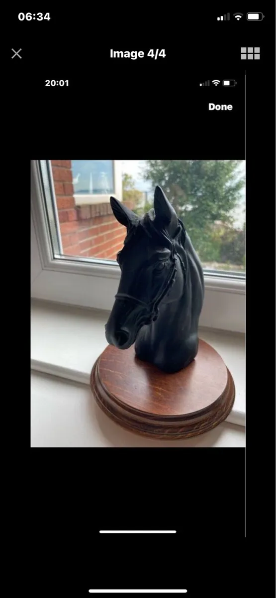 Vintage Horse Head Display - Image 4