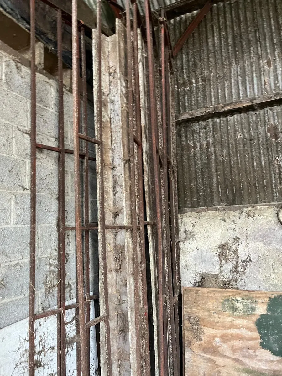 Sheep gates and walkthrough feeders - Image 3