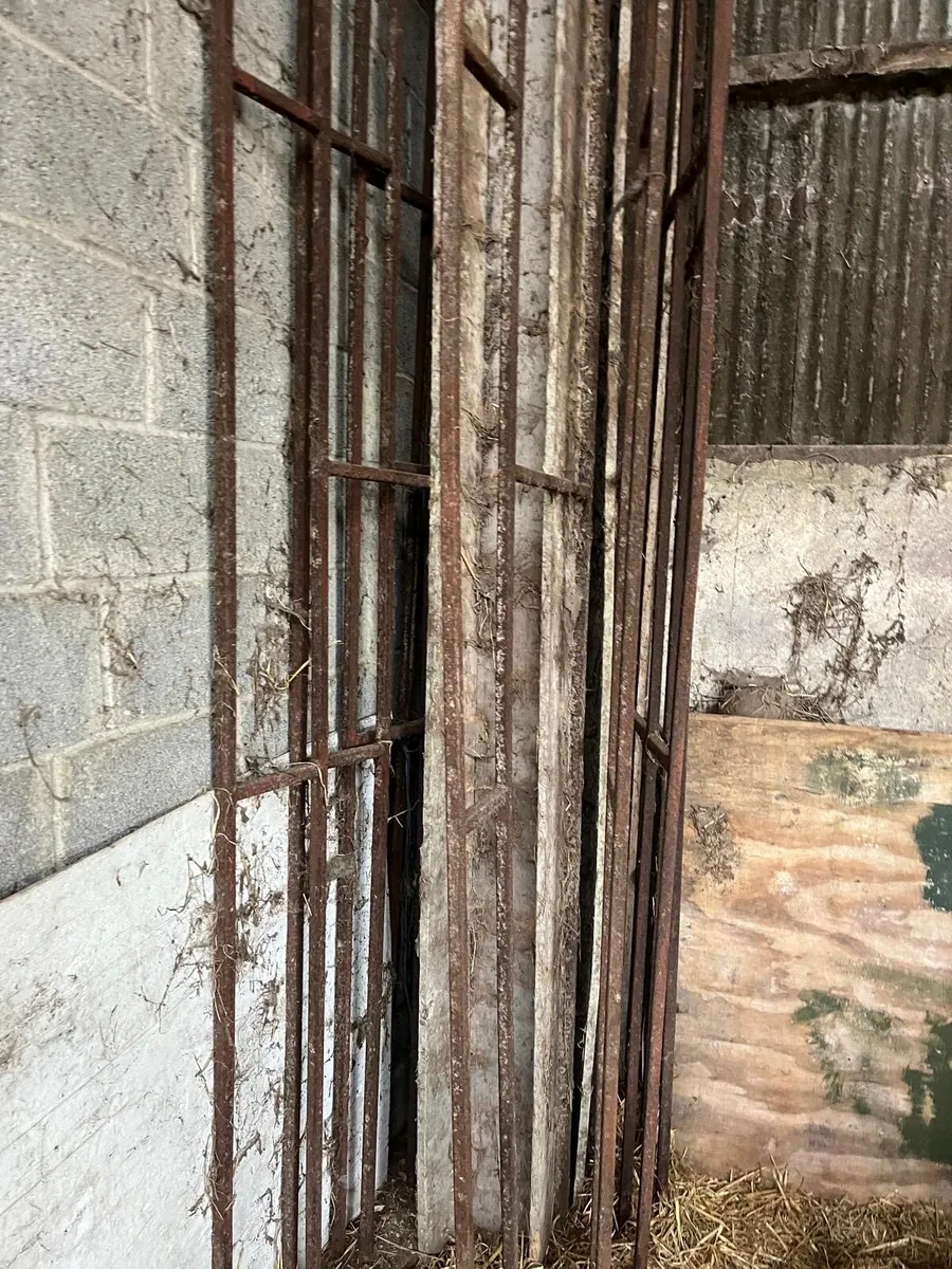 Sheep gates and walkthrough feeders - Image 4