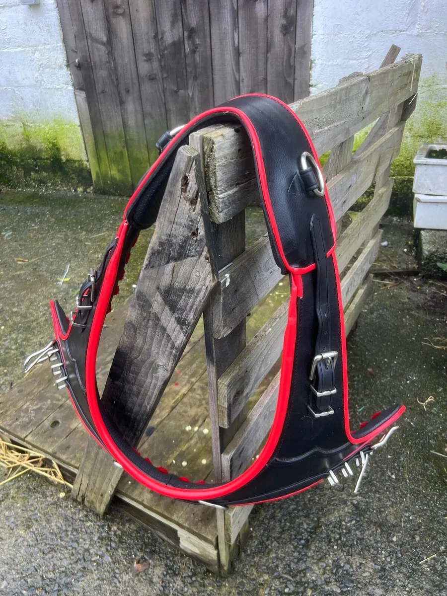 Brand new horse driving brollar - Image 1