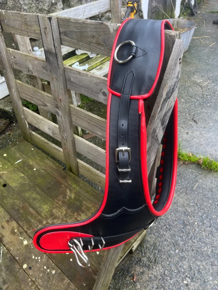 Brand new horse driving brollar - Image 2