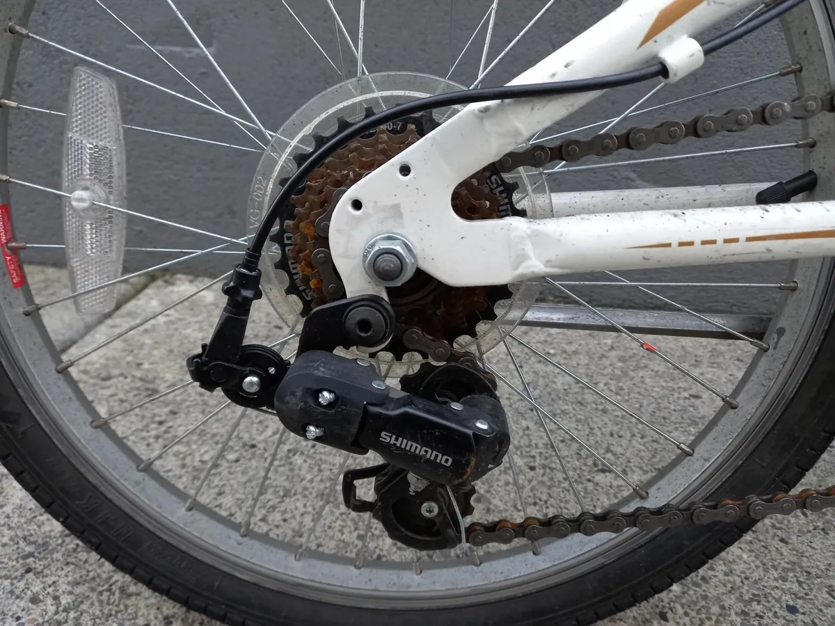 Online Auction Of A Python Folding Bike & More! - Image 3