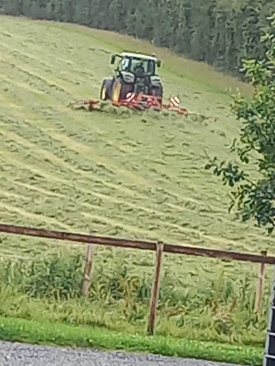 Silage bales - Image 2