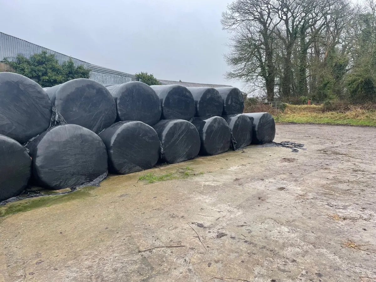 Silage bales