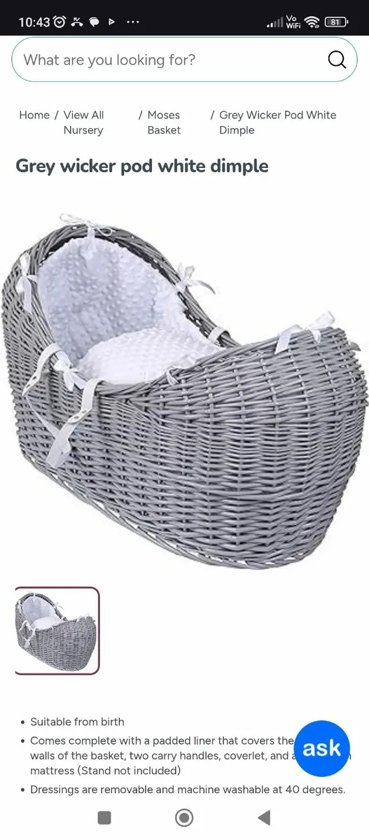 Moses basket