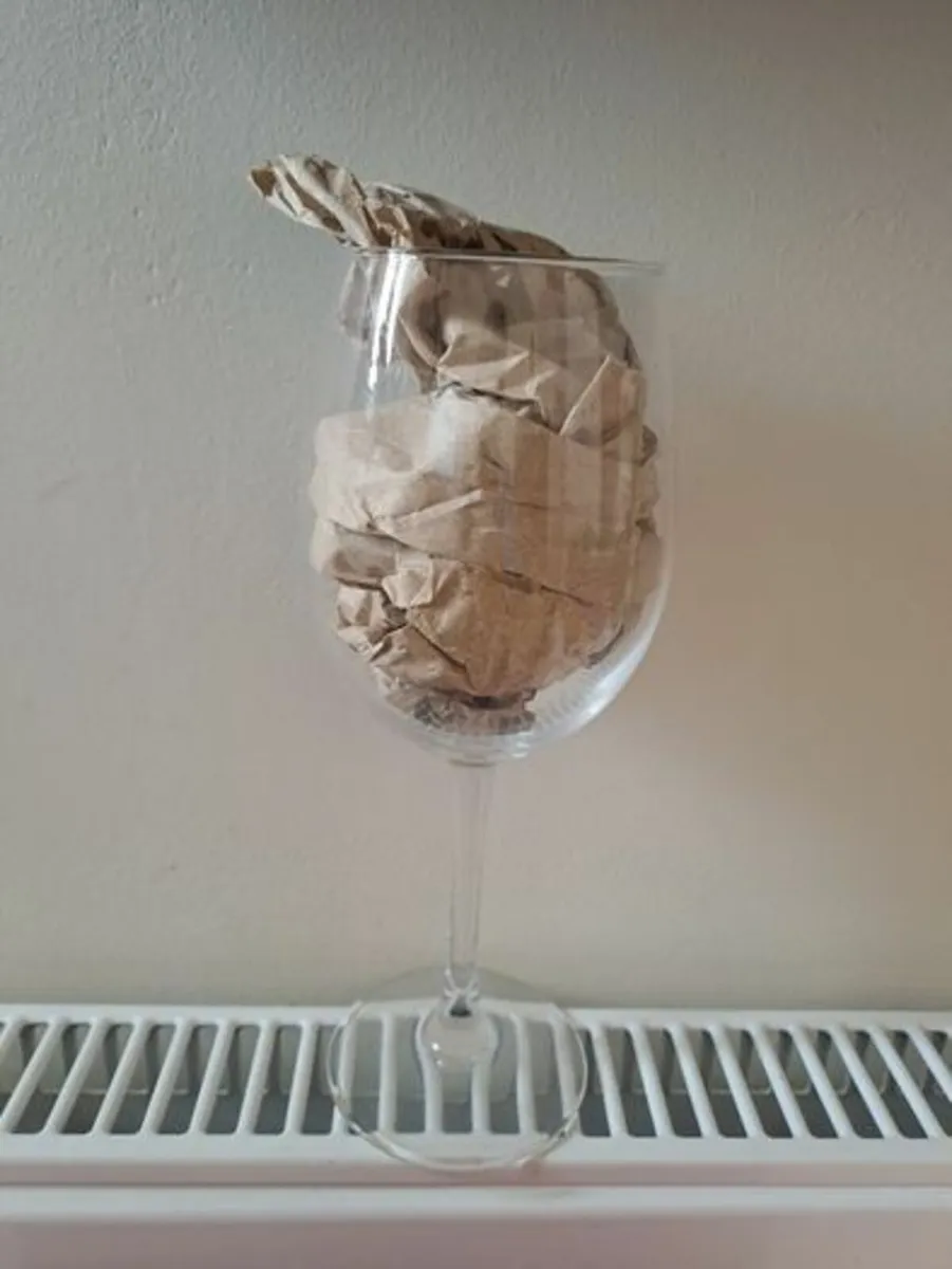 6 extra large Luminarc Wine glasses - Image 2