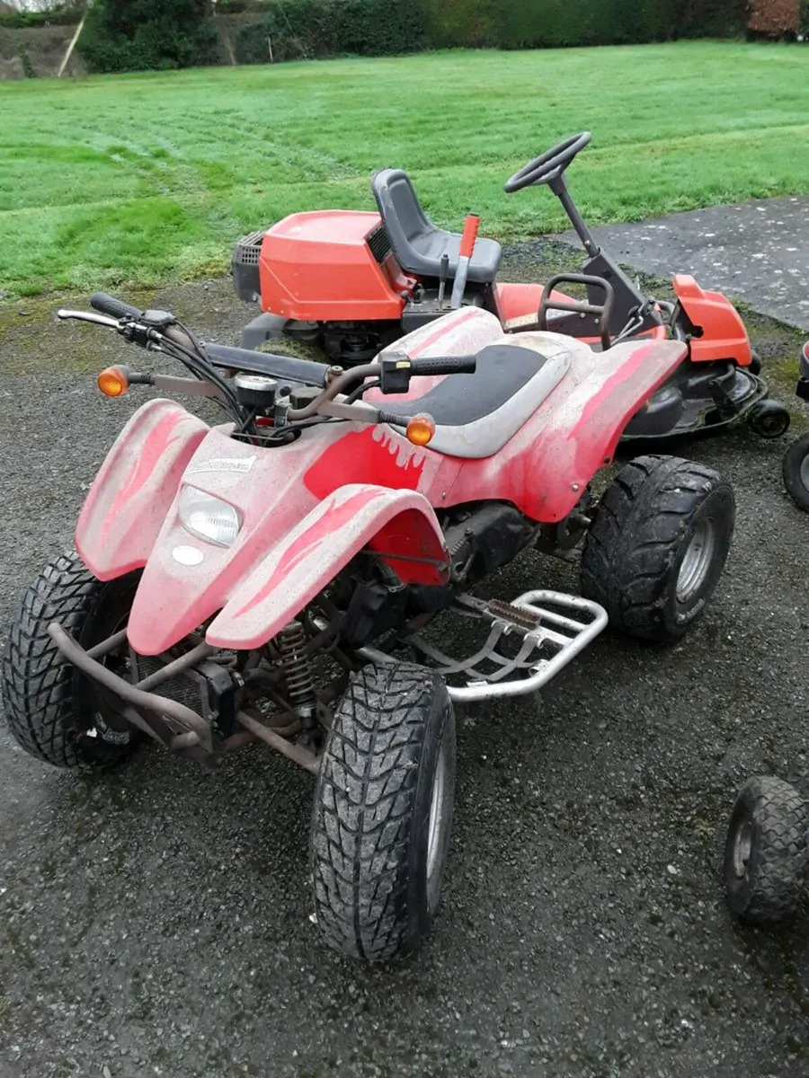 Shed clean - Image 4