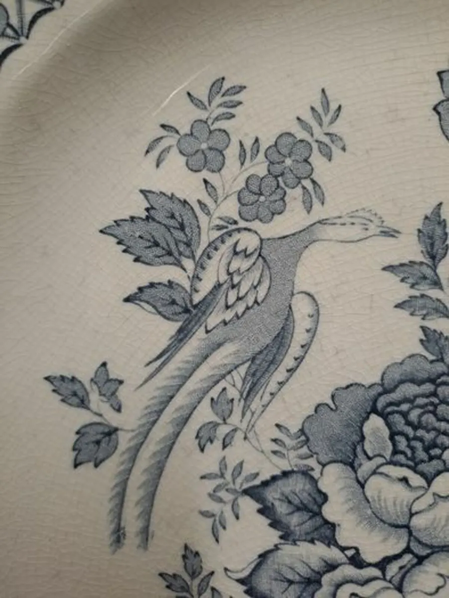 Antique Mason's serving platter - Image 3