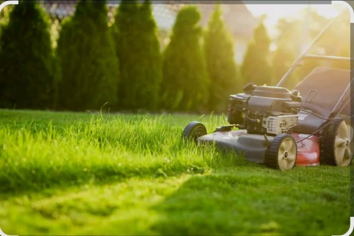 Handyman service - Image 1