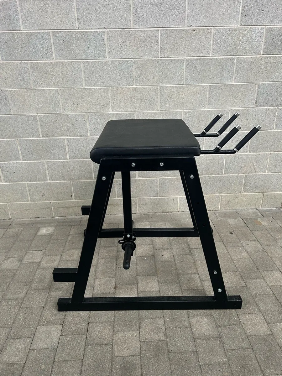 Reverse Hyper - Image 1