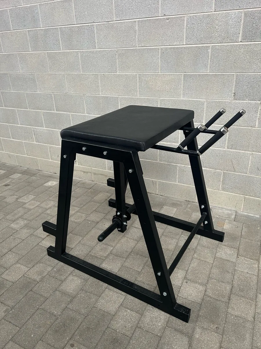 Reverse Hyper - Image 2