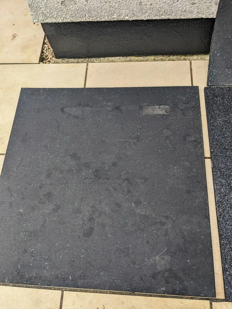 Commercial Mats for Weights, Treadmills, Bikes etc - Image 3