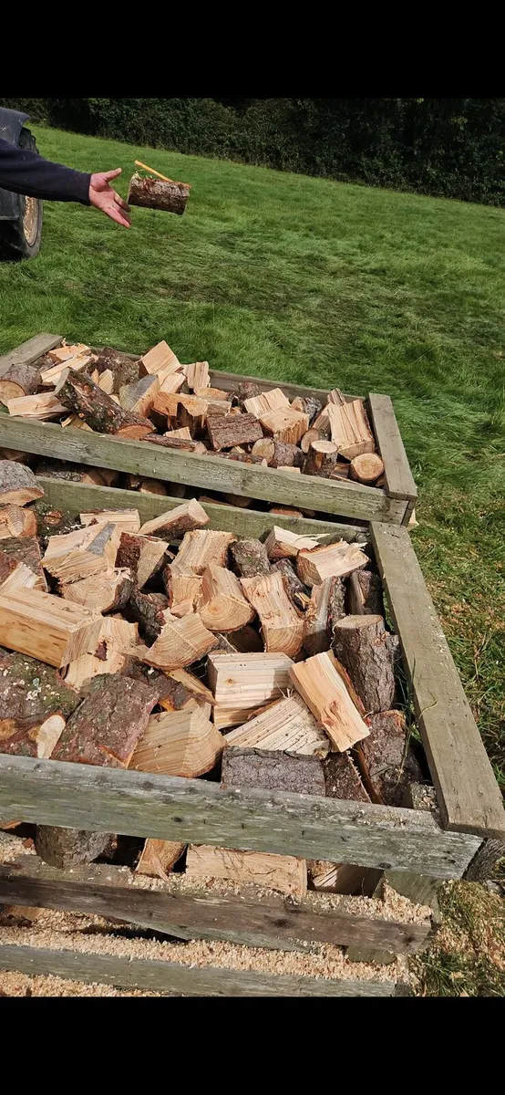 Firewood - Image 4