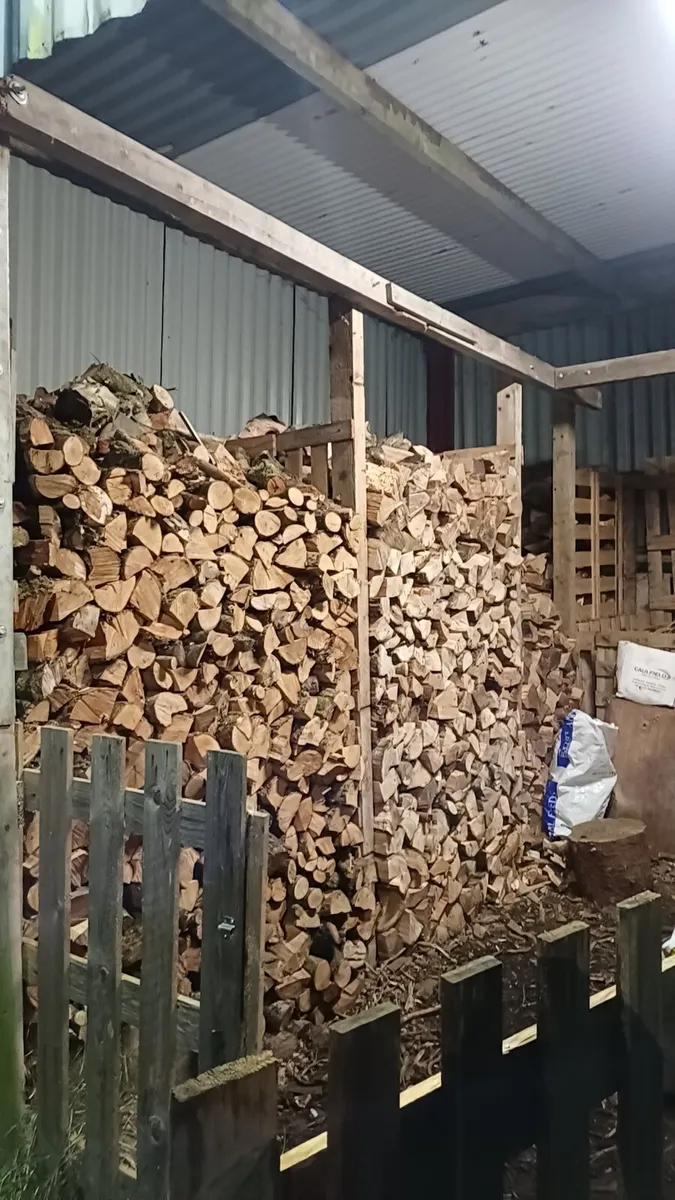 Seasoned Ash firewood - Image 1