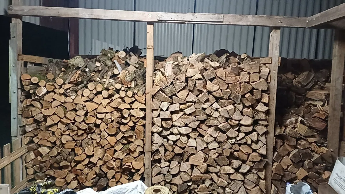 Seasoned Ash firewood - Image 2