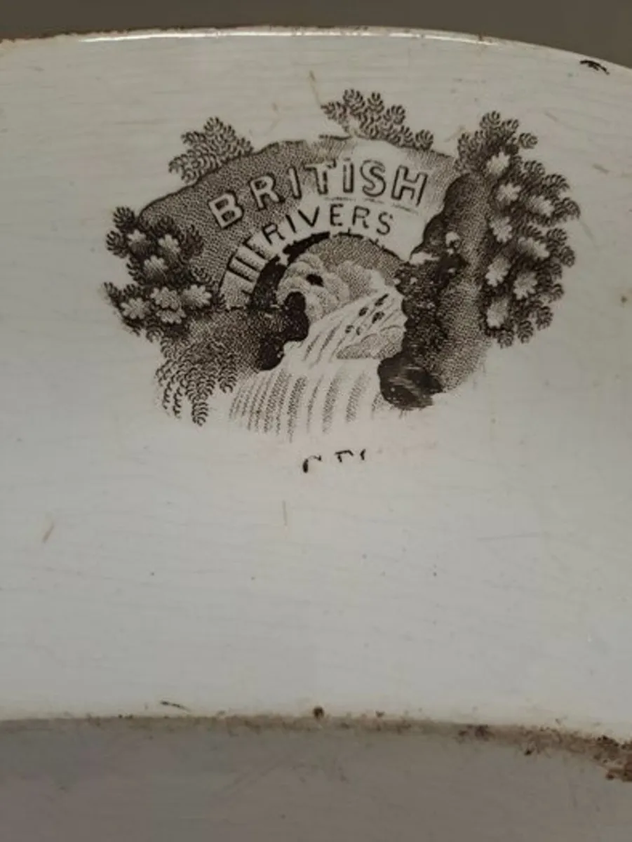 Victorian turkey serving platter brown and white - Image 3