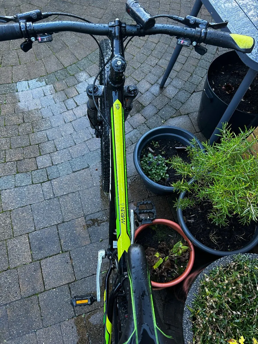 Trek Merlin 6 (2018) - Image 3