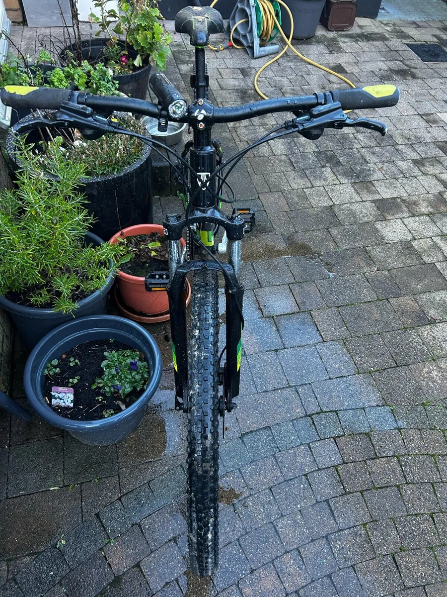 Trek Merlin 6 (2018) - Image 4