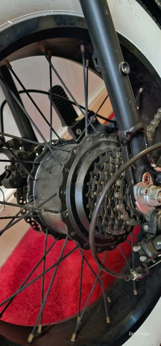 Electric Fat Bike - Image 2