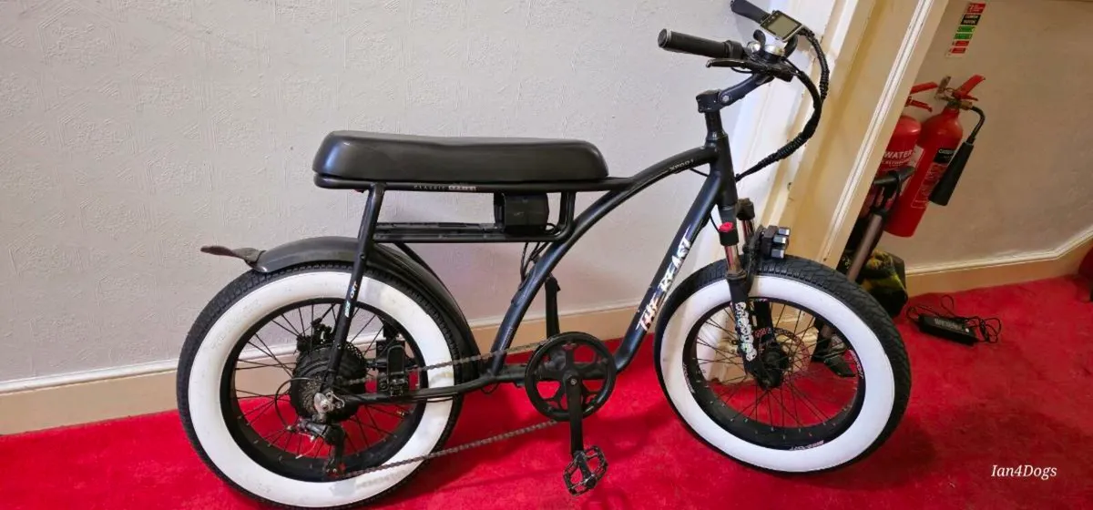 Electric Fat Bike - Image 3