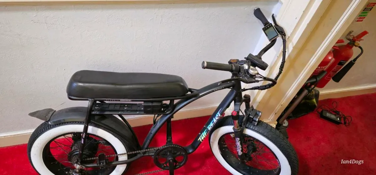 Electric Fat Bike - Image 4