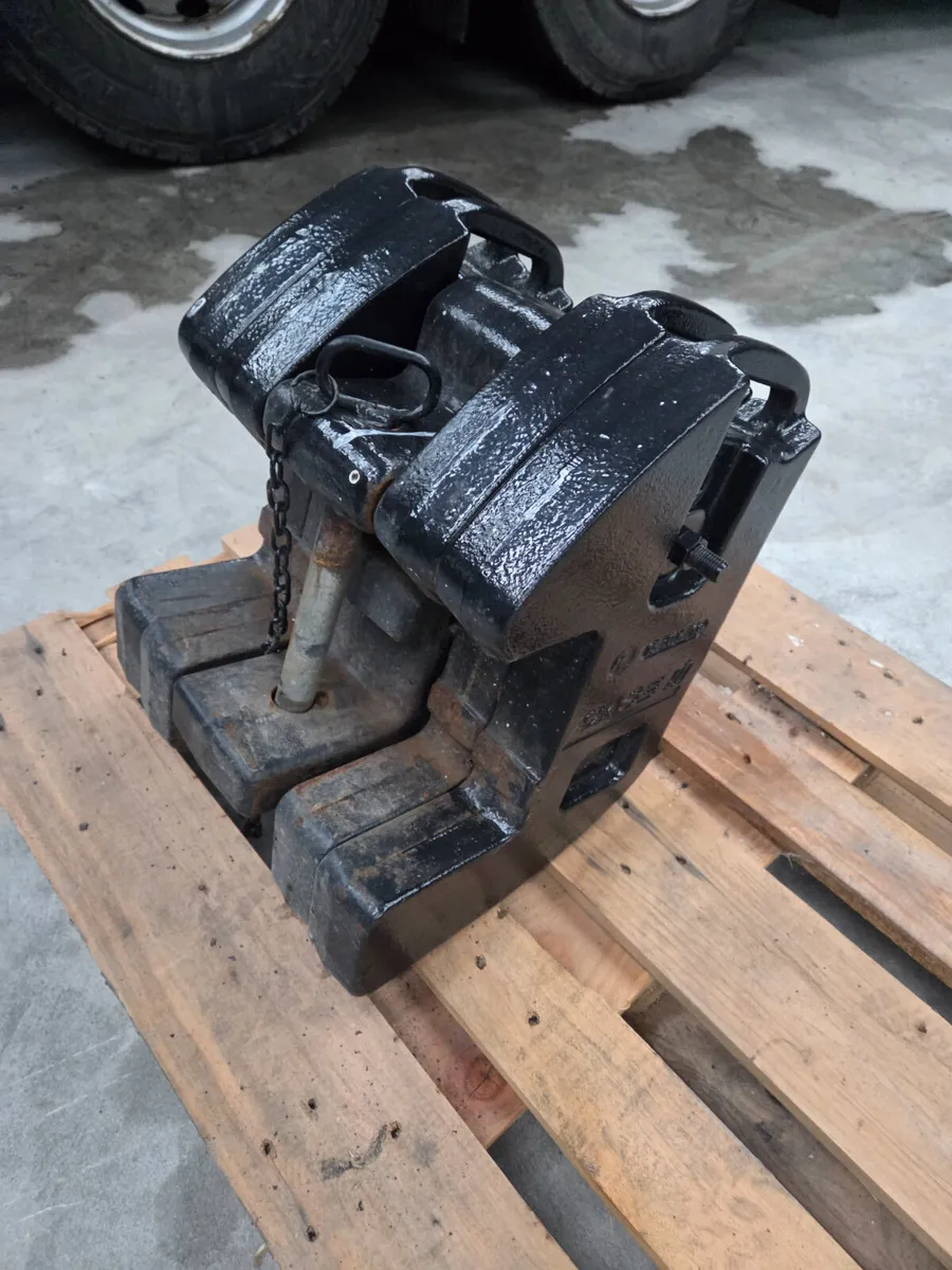 Case Weights - Image 4