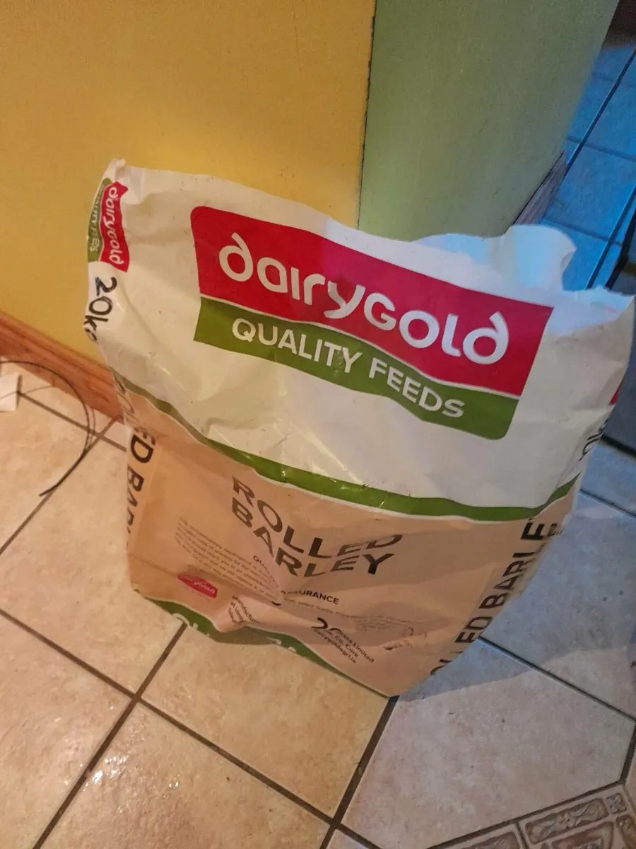 Empty fire wood bags