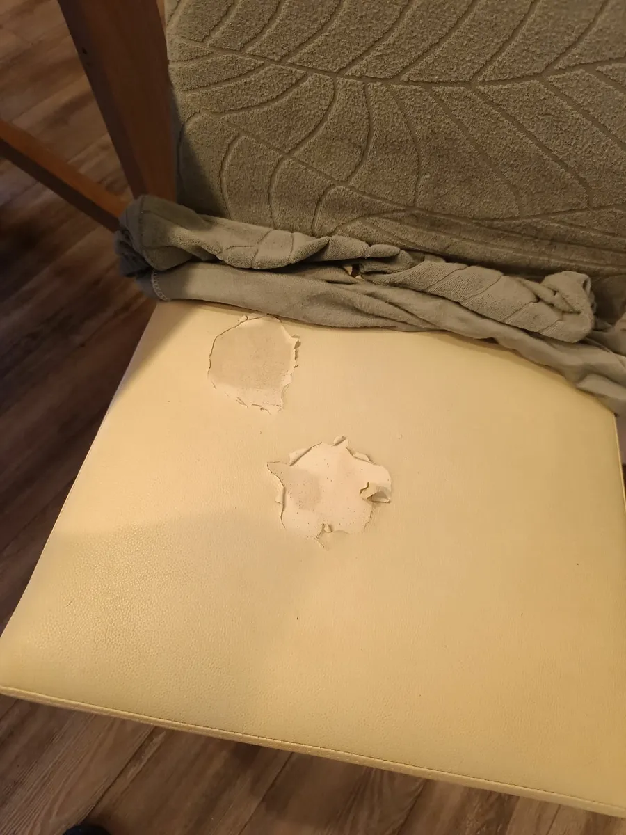 Dining chairs x 6 - Image 3