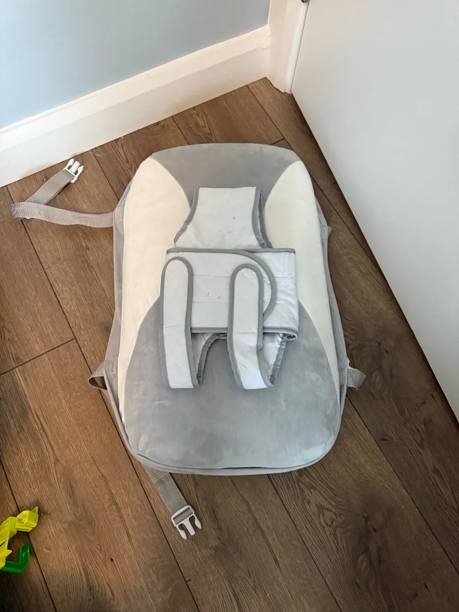 Babocush cushion - Image 1