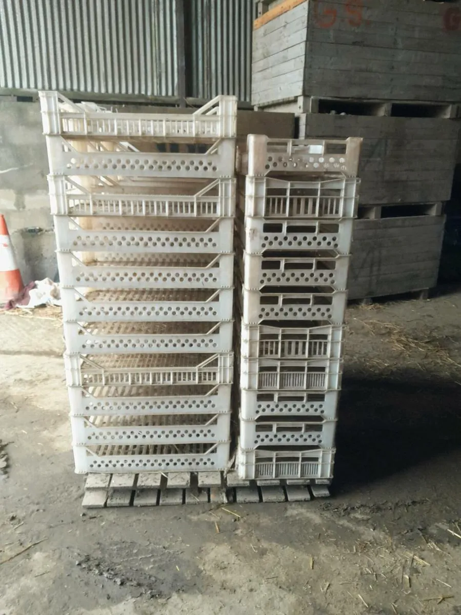 Plastic sprouting trays - Image 1