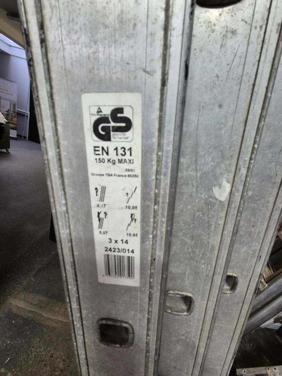 Tubesca Triple Extension Ladder – €450 ONO - Image 2