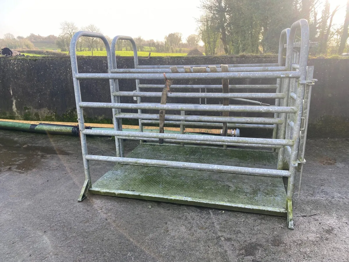 Mobile Cattle crush & scales - Image 3