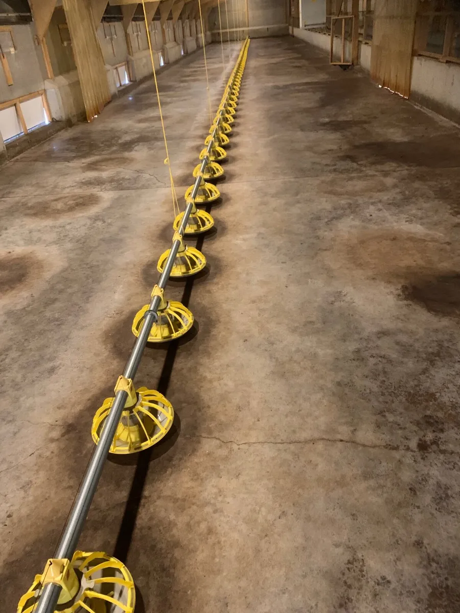 Roxell poultry feed lines and box heaters - Image 1