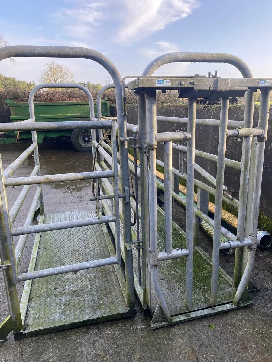 Mobile Cattle crush & scales - Image 1