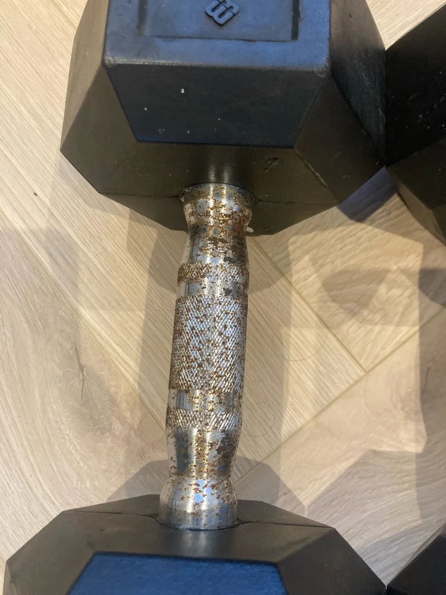 Dumbbells 10kg - Image 2