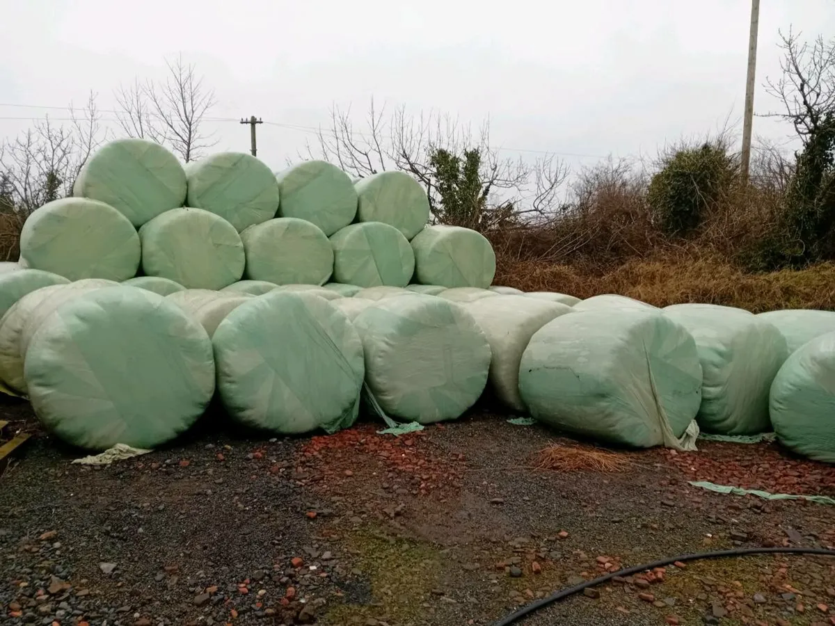 Silage bales