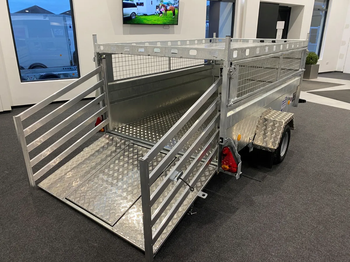 T823761  Q8e  8'2'' x  4'9'' Ifor Williams Trailer - Image 2