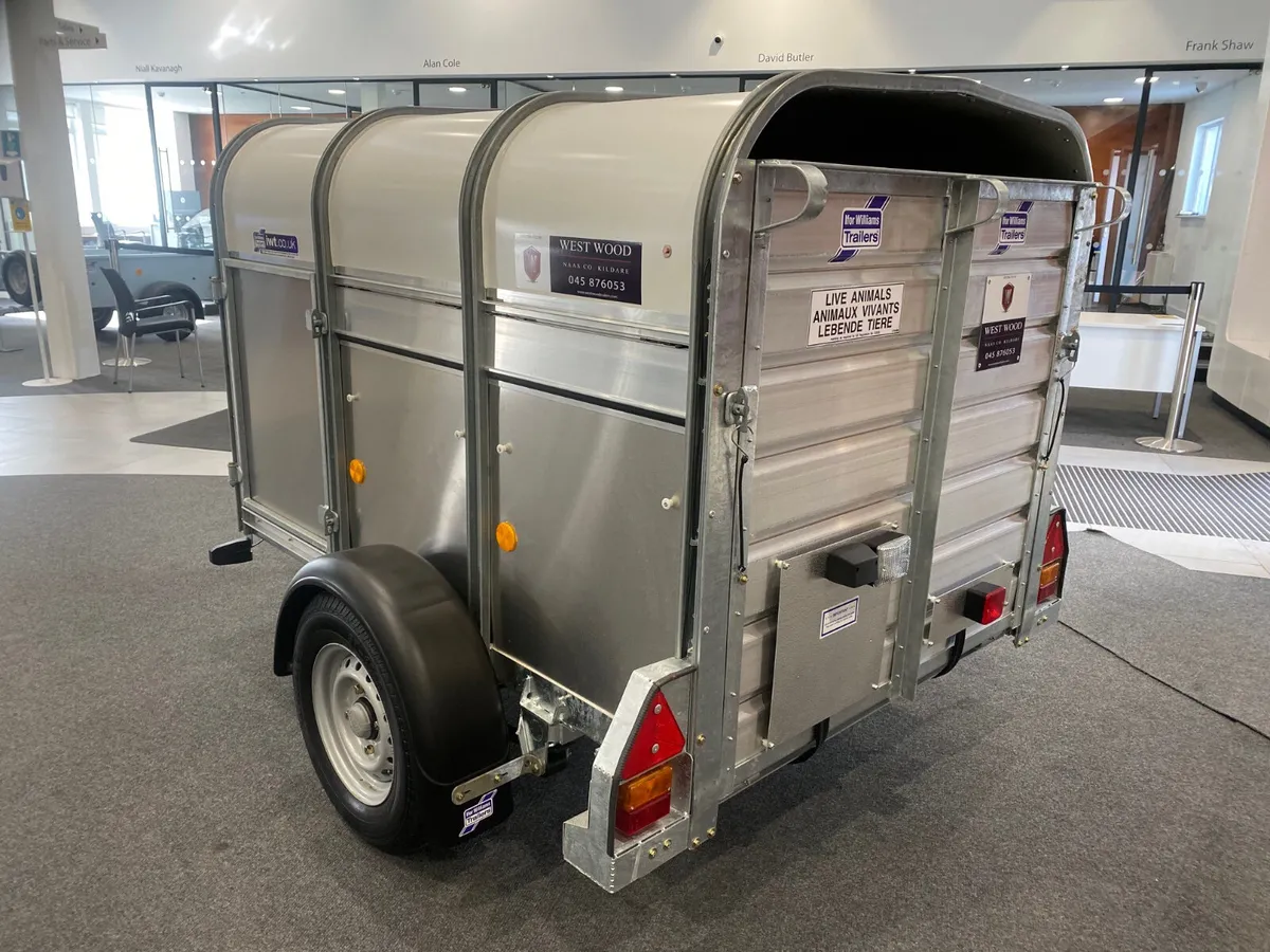 T827317 P6 Pig & Sheep Trailer Ifor Williams - Image 3