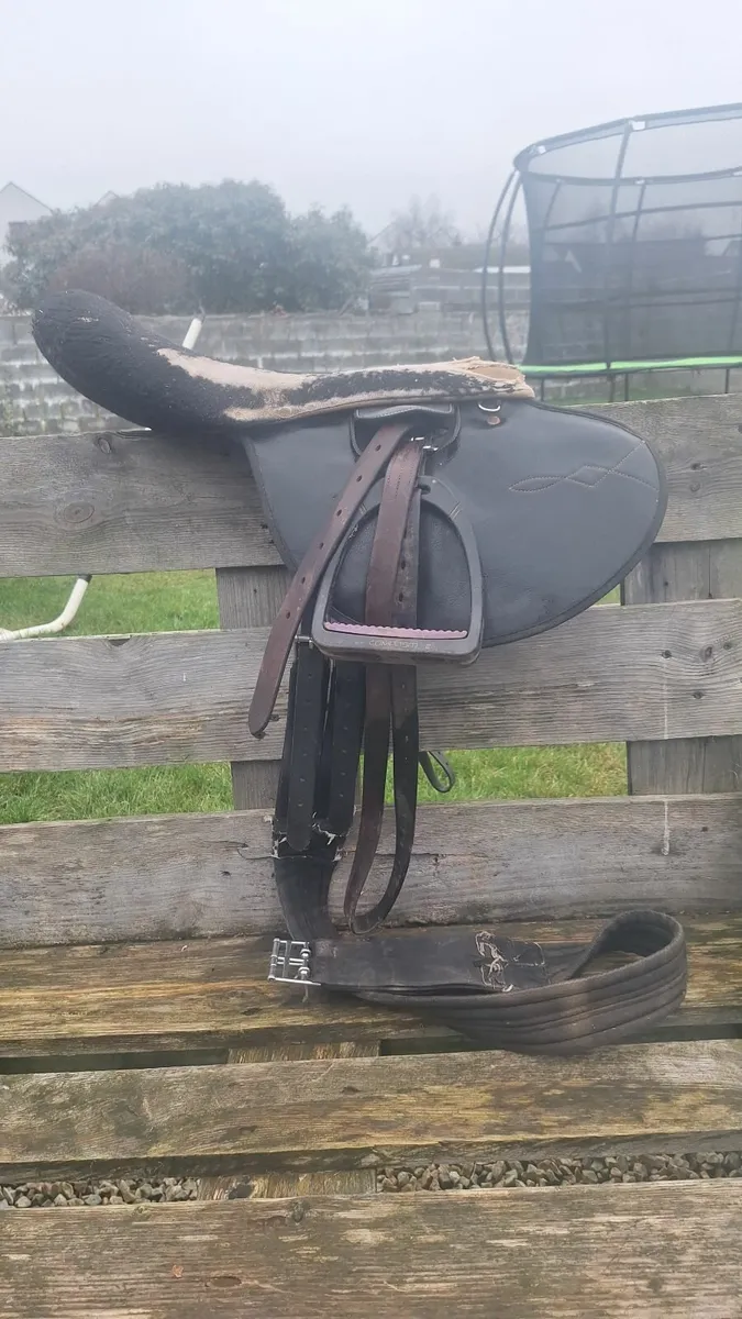 Exercise racing saddles - Image 3