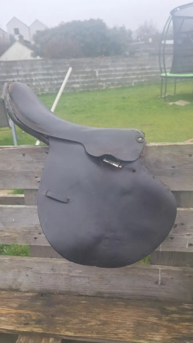 Exercise racing saddles - Image 4