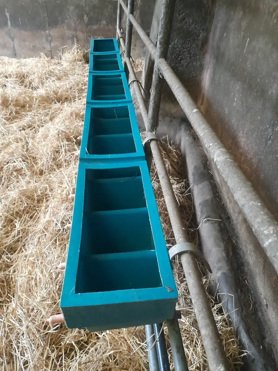 15 teat Calf feeder - Image 2
