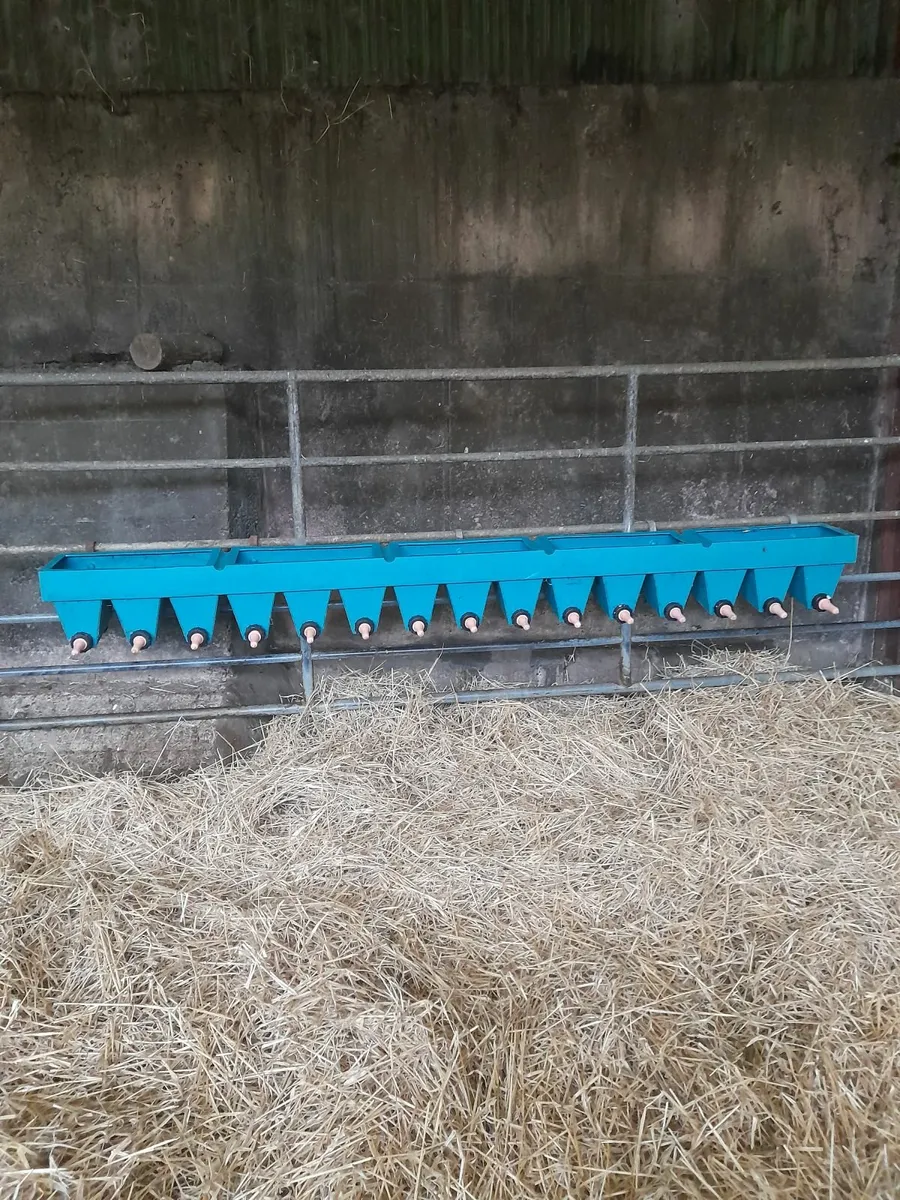 15 teat Calf feeder - Image 1