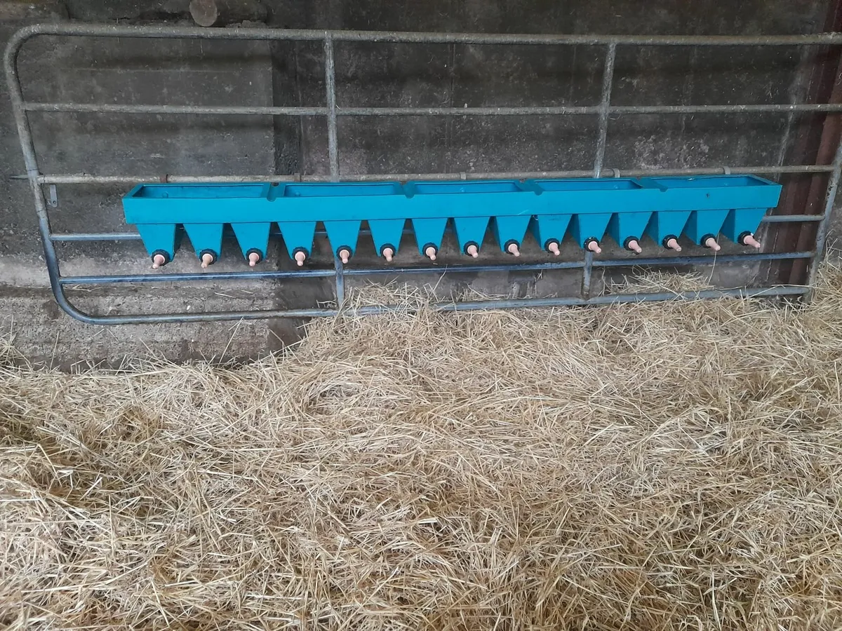 15 teat Calf feeder - Image 3