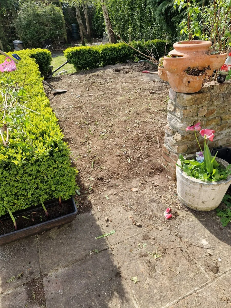 Hi folks pat here from pats landscap garden servic - Image 4