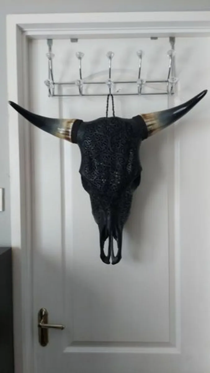 Carved Black Bull Skull - Image 2