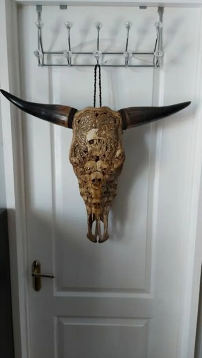 Carved Brown Bull Skull - Image 1