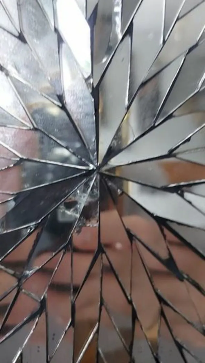 Mirror Insert Black Bull Skull - Image 2